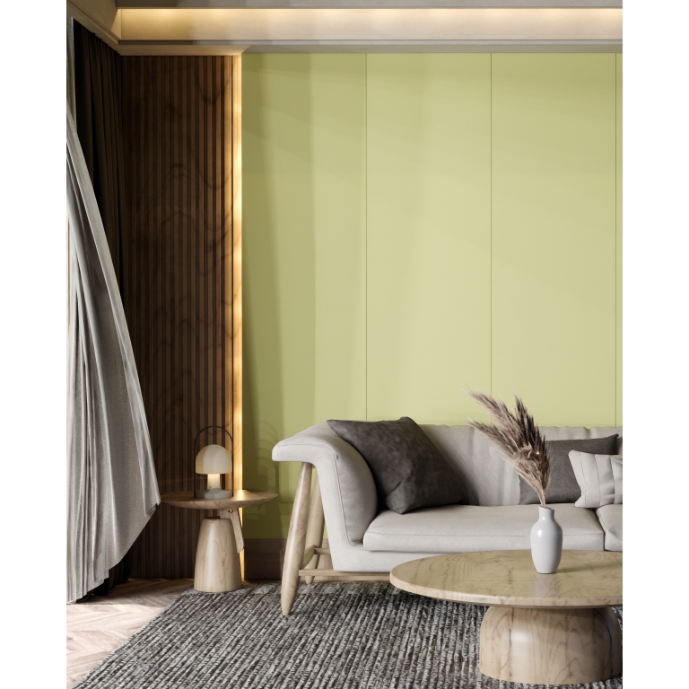 EXPANSE - 24X142 SOLO, LIME, MATTE